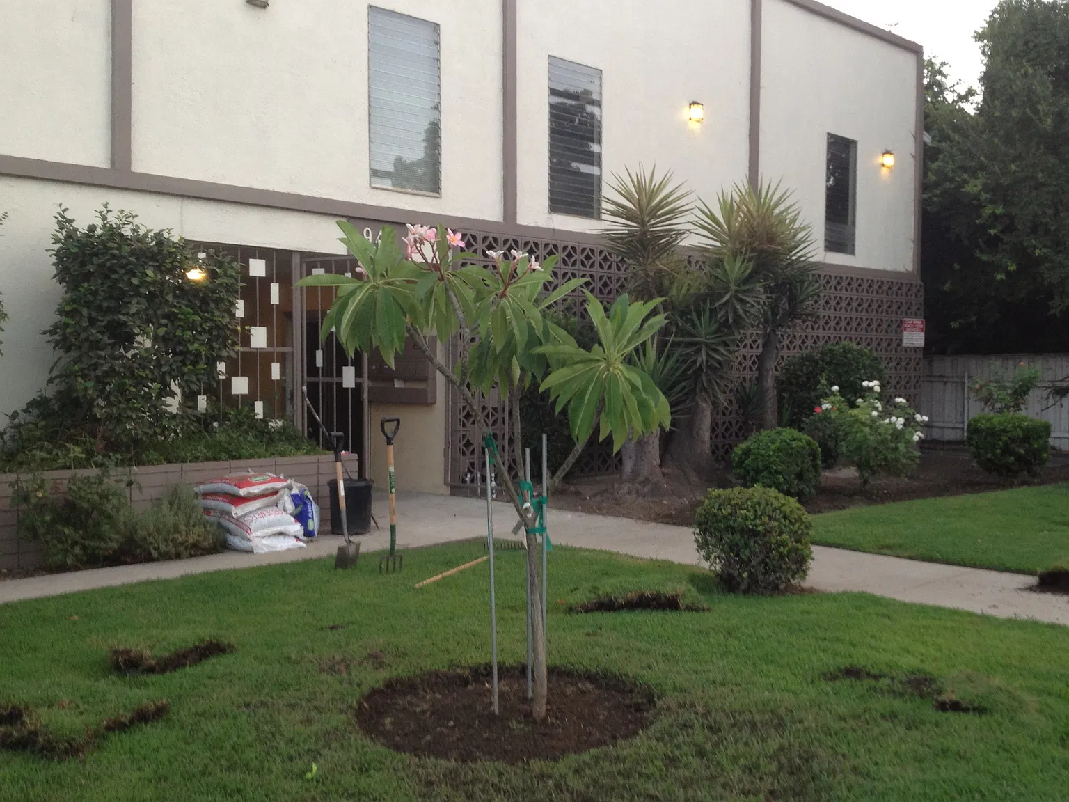 2 bed, 1000 sqft, $2,150 — Photo 1