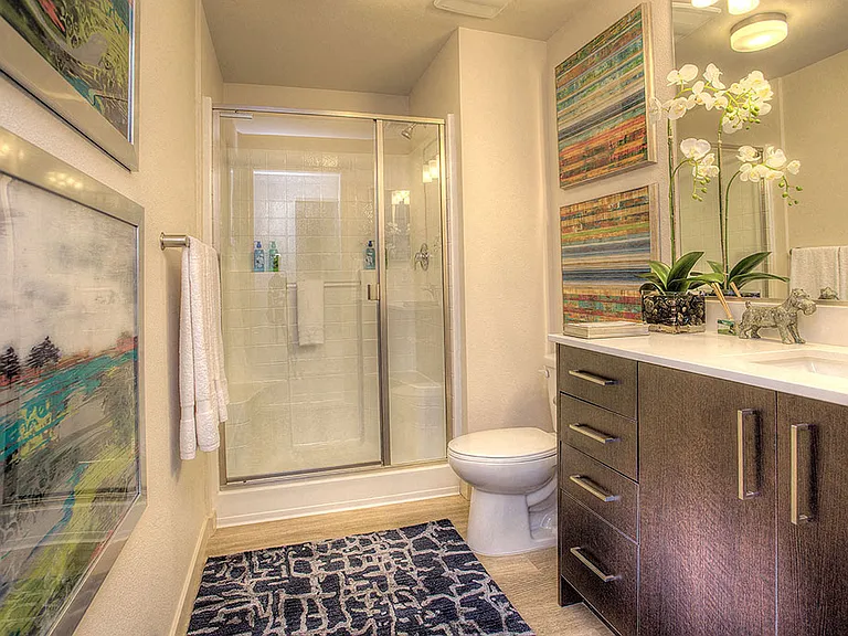 Designer Cabinets and Countertops