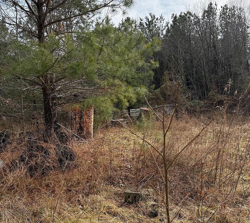 1st image of Long Rd