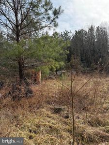 Long Point Rd, Hague, VA, 22469