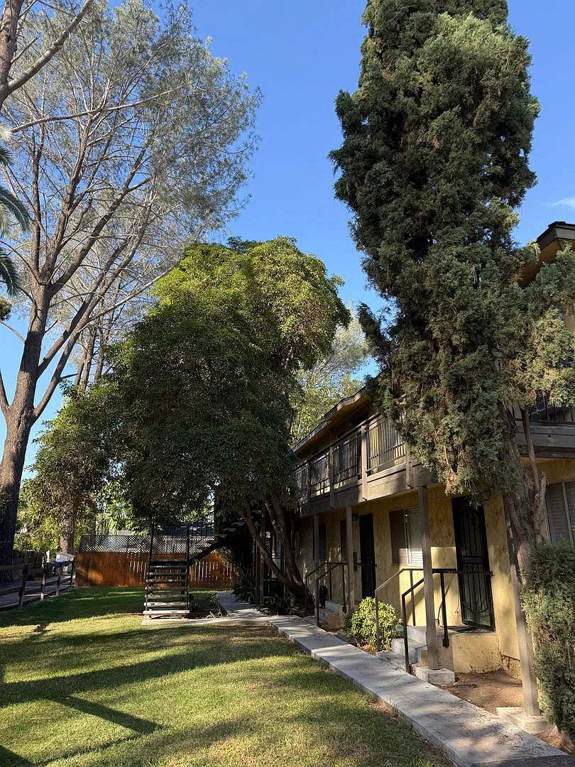 Freshly Renovated 1BR/1BA in Lakeside, Surrounded by Trees and Natural Light — Photo 1