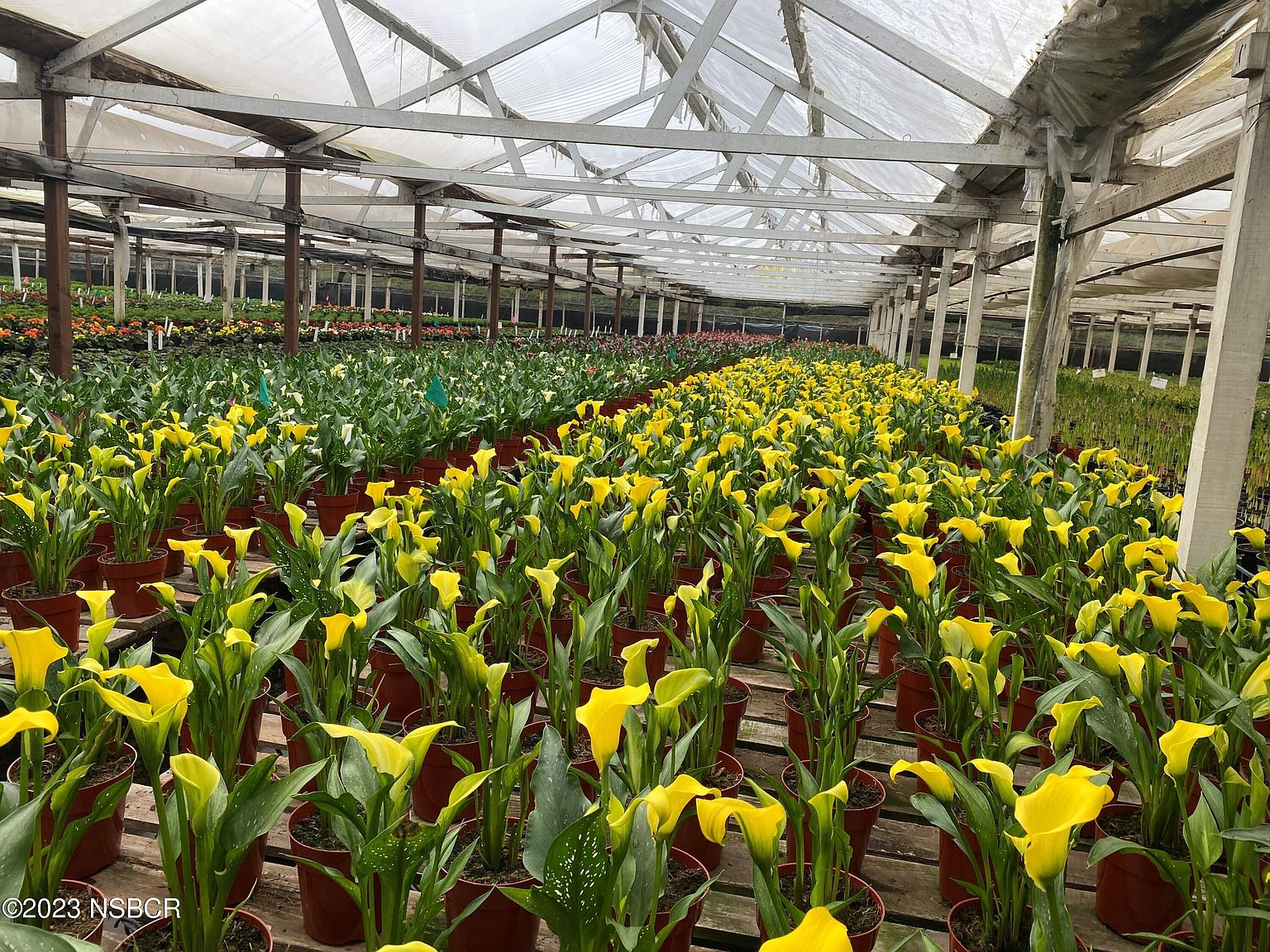 1385 Anderson Ln, Santa Barbara, CA 93111 MLS 23000384 Zillow