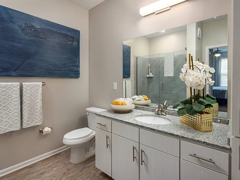 Soltair Cypress Creek Model Apartment Bathroom