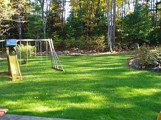 Backyard (another view)