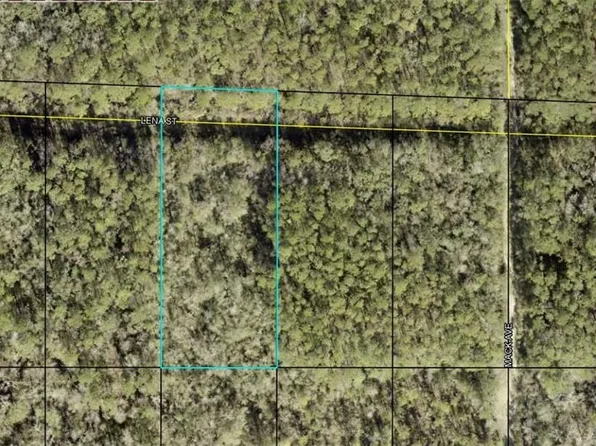 21-10-28-2775-00 Lena St, Hastings, FL 32145