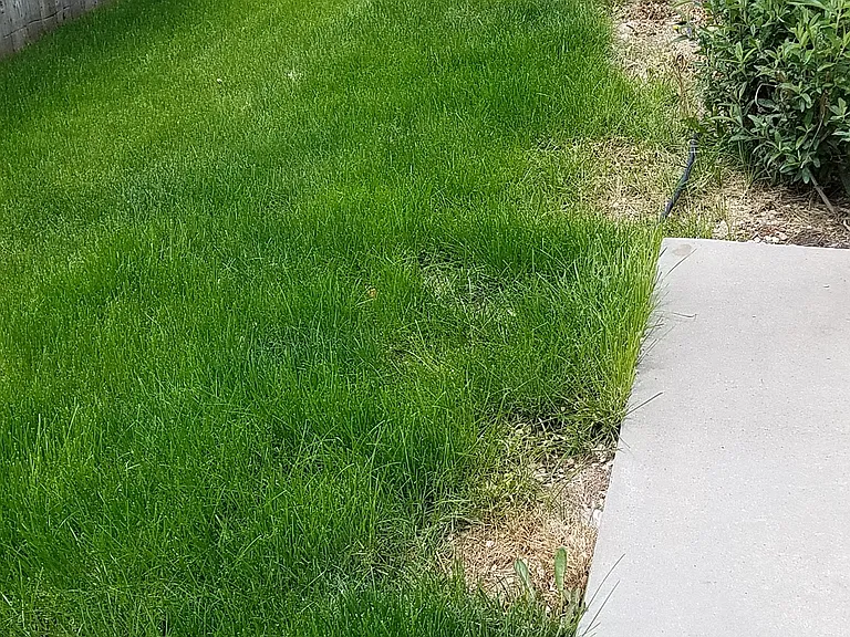 6299 W Filly St — Photo 15