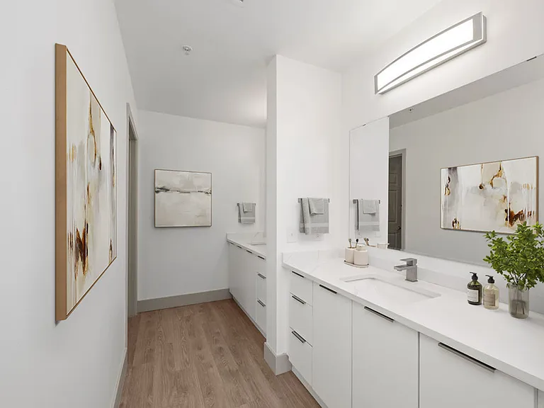 Double Vanity Bath