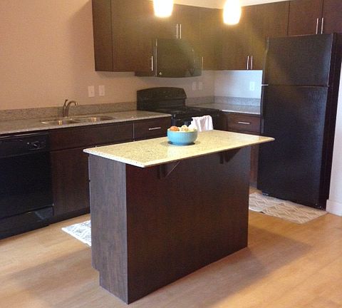 4th image of 338 E South Temple APT 507