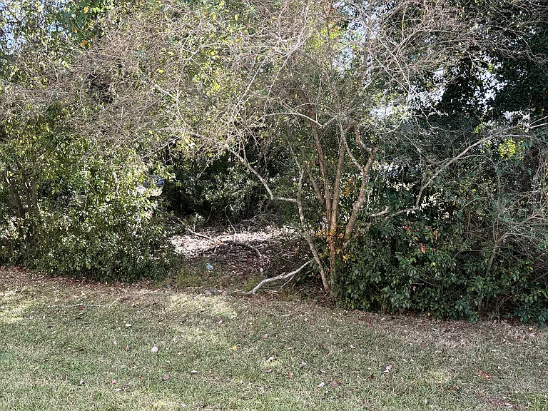100 Kelsey Ct — Photo 54