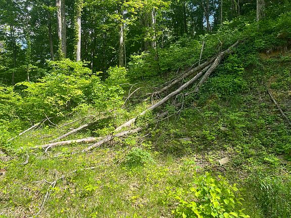 5th image of 0 Birch Hollow Rd Lot 12