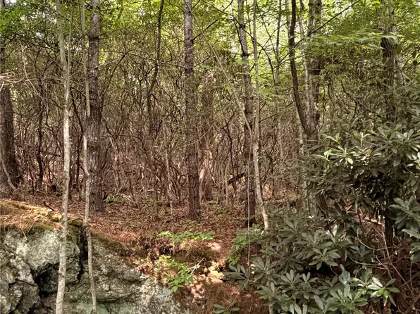 120 Buckberry Drive N, Sapphire, NC 28774