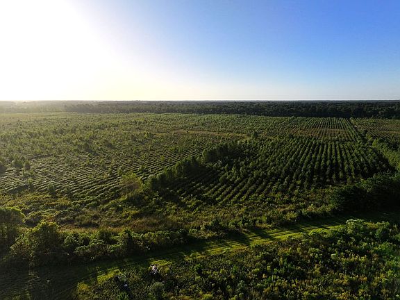 18606_1-DJI_20250928001815_0731_D-1