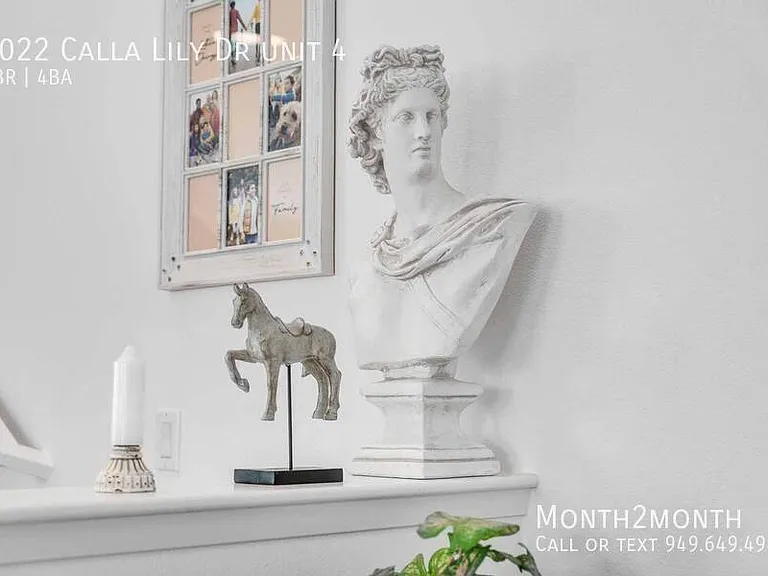 7022 Calla Lily Dr #4 — Photo 51