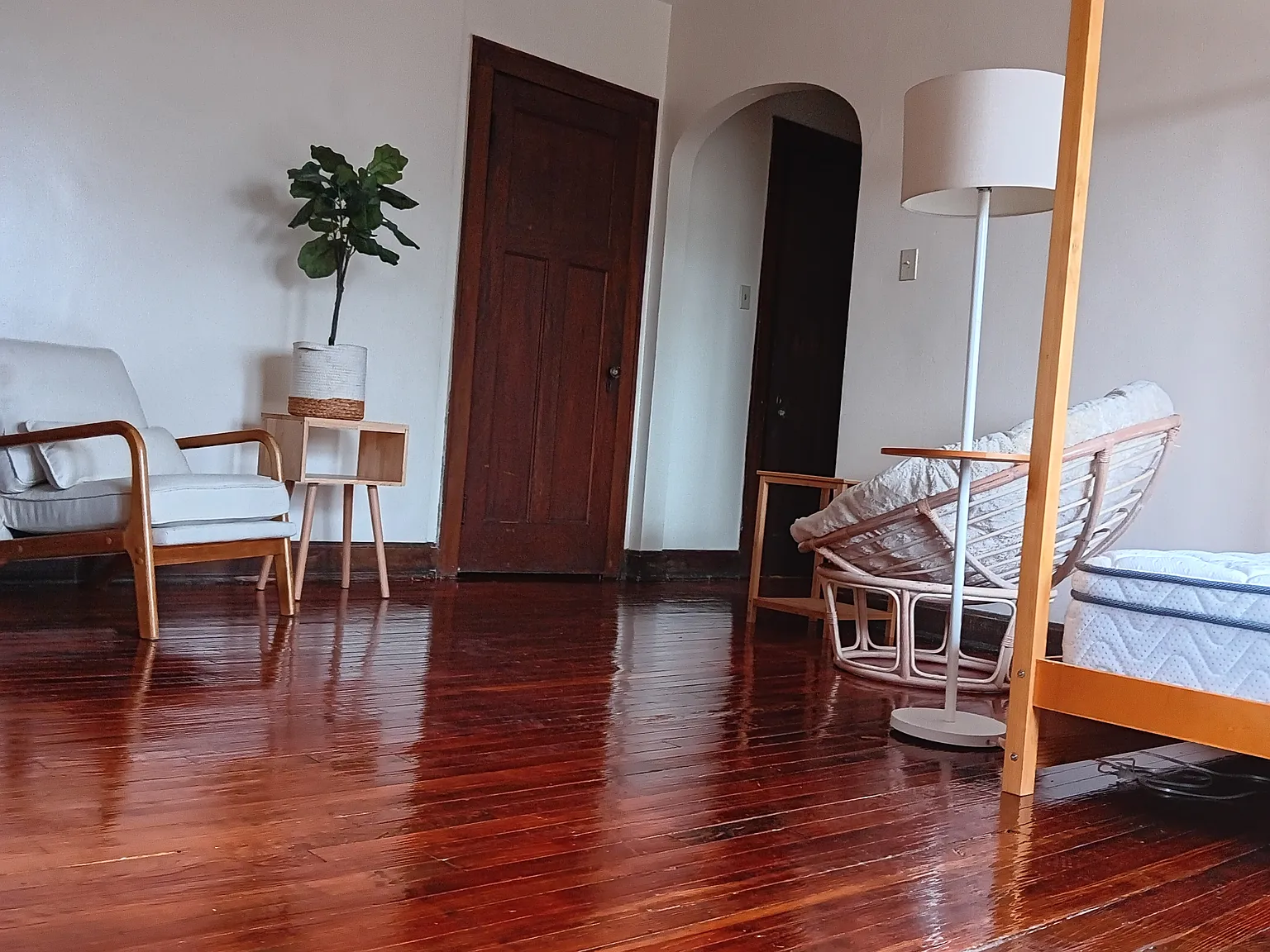 Studio, 600 sqft, $905 — Photo 1