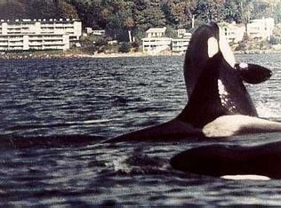 10203 47th Ave SW APT A105, Seattle, WA 98146