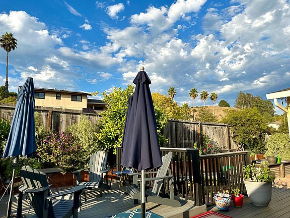 backyard: birds, citrus and relaxation