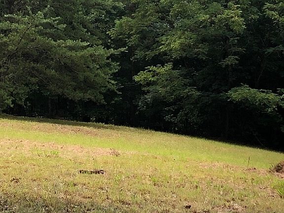 4th image of Chatuge Woods Dr