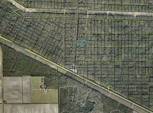 E Deep Creek Blvd, Hastings, FL 32145