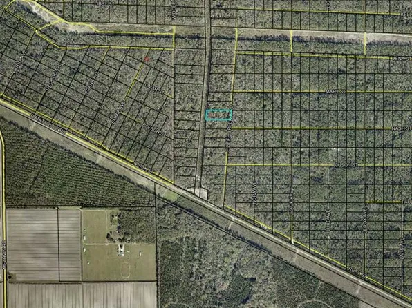 E Deep Creek Blvd, Hastings, FL 32145