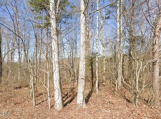 115 Chanusi Way, Tellico Plns, TN 37774