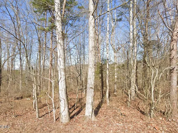 115 Chanusi Way, Tellico Plns, TN 37774