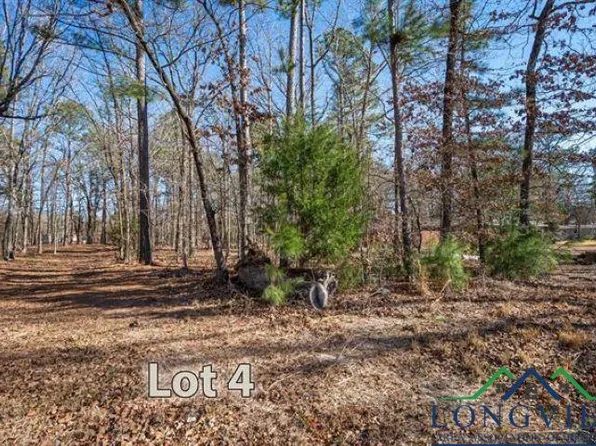 Private Road 3503, Big Sandy, TX 75755