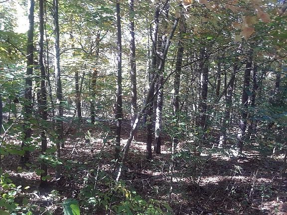 5th image of LOT 12 Crayke Ln