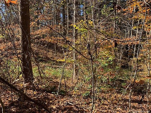 5th image of 00 Williams Pl Lot 18