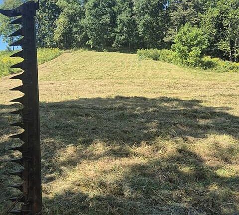 4th image of 0 Maysville Williams Rd