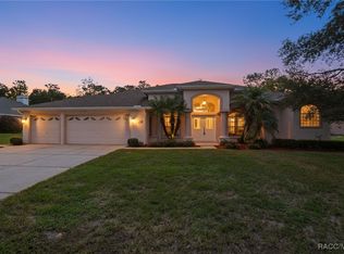 3 Bonnie Ct S, Homosassa, FL 34446