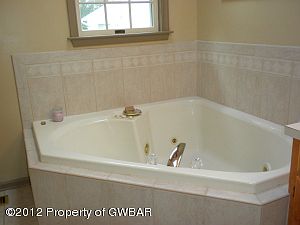 Master Bath Tub