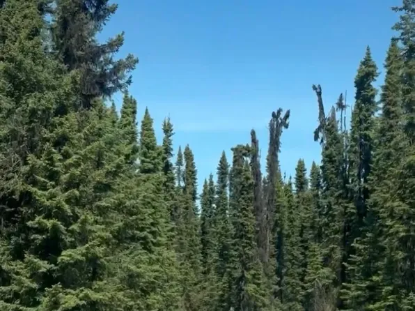 L4 Heath Pl, Soldotna, AK 99669