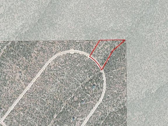 Backs to National Forest