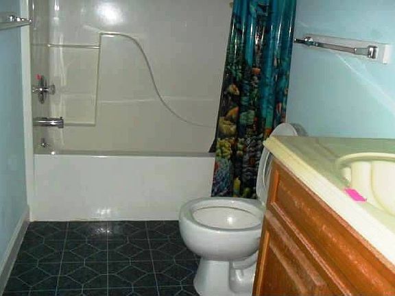 3rd image of 33602 Samantha Dr