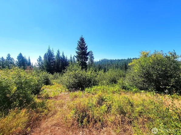 0 Lot 1 Simcoe Mountain Reserve, Goldendale, WA 98620