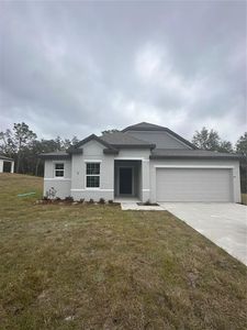 11808 Sparkling Topaz Cv, Parrish, FL, 34219