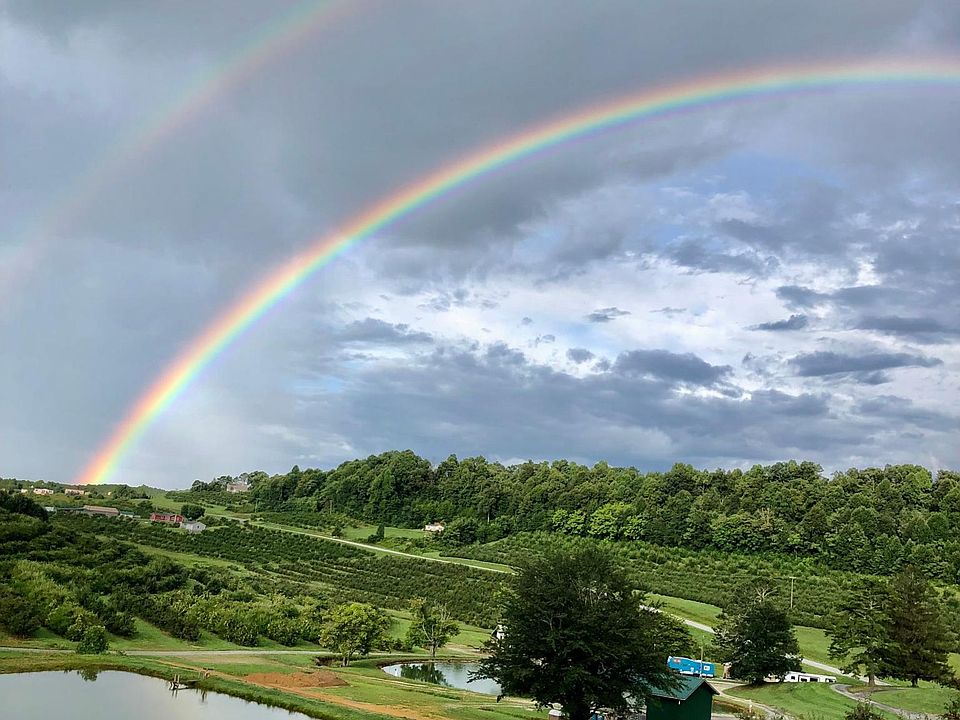 View from Orchard Suite