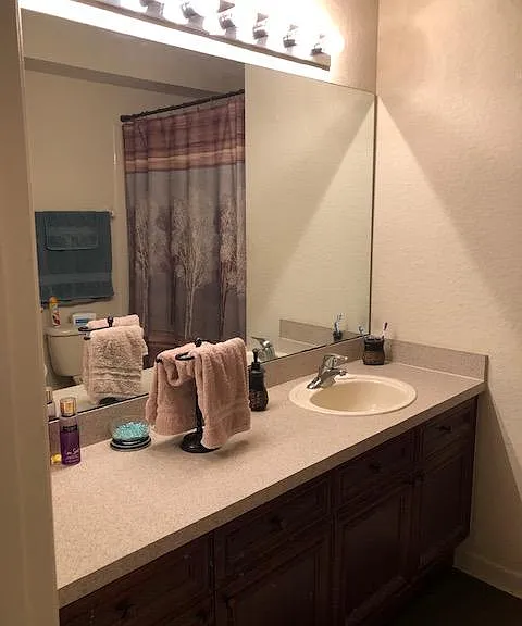 2807 Oconnell Dr — Photo 33