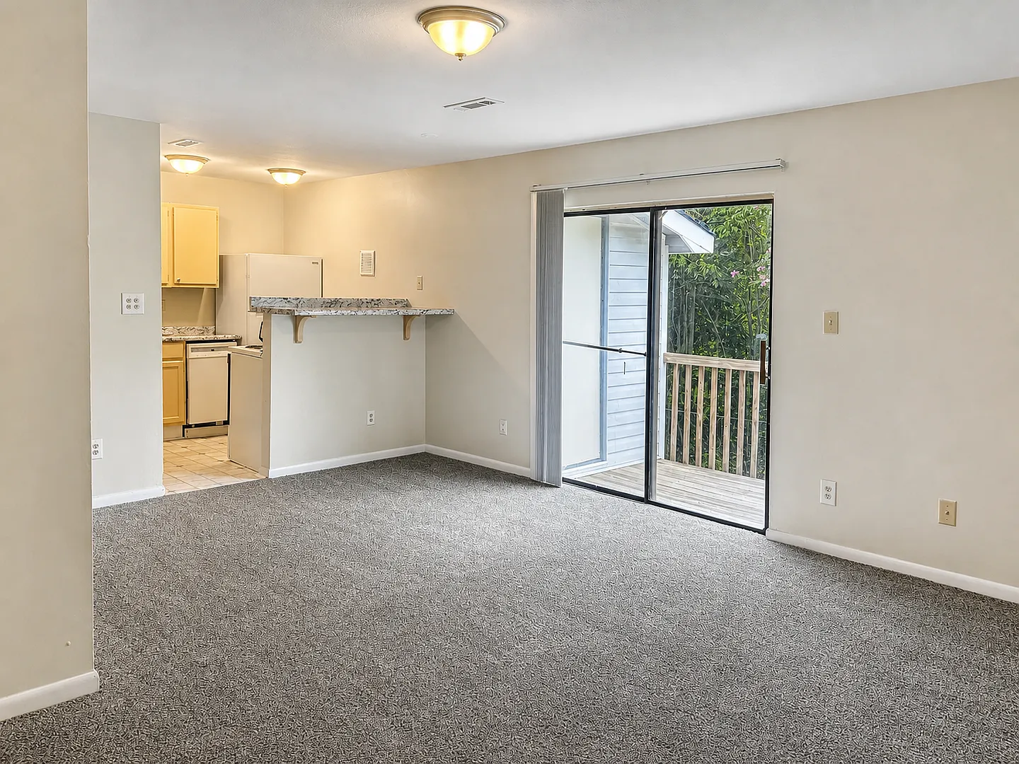 4909 Cotton Row — Photo 3