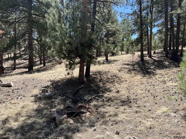 47 Pine Ln, Westcliffe, CO 81252