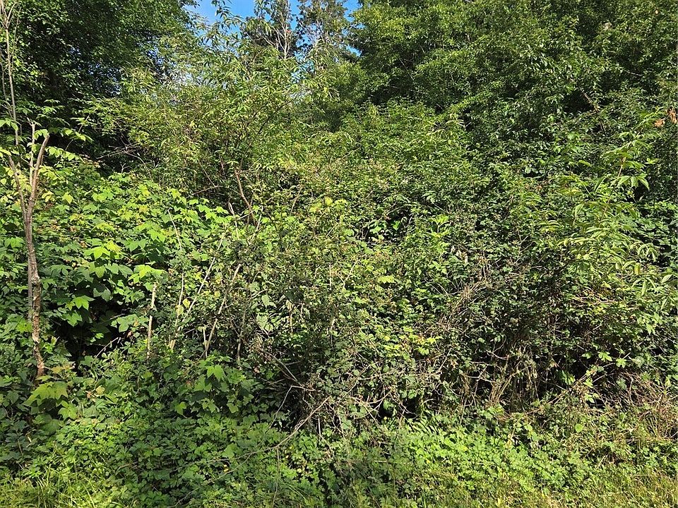 1st image of 101 A Port Susan Drive