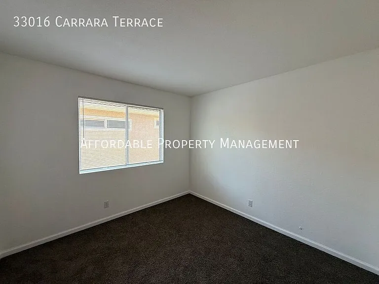 33016 Carrara Ter — Photo 16