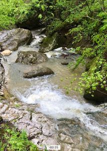 N/a Off Nc #6065, Jasper, AR, 72641