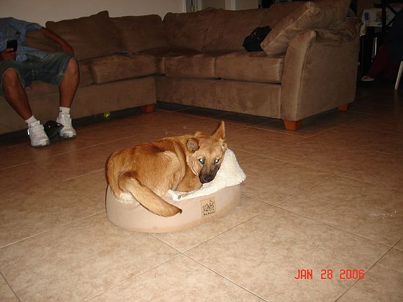 back of living room to the kitchen