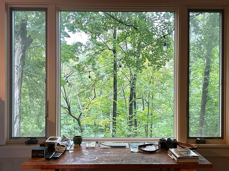 Living room with panoramic views of the forest