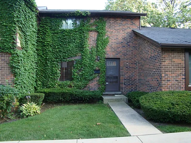 18W223 Standish Ln photo 1