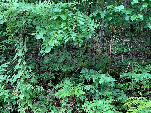 3rd image of 4507 Huffine Rd