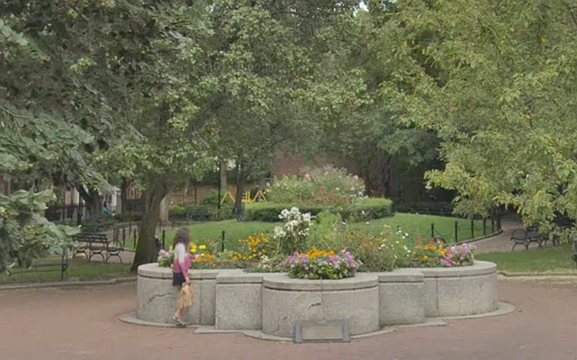 Rented by Douglas Elliman | media 11