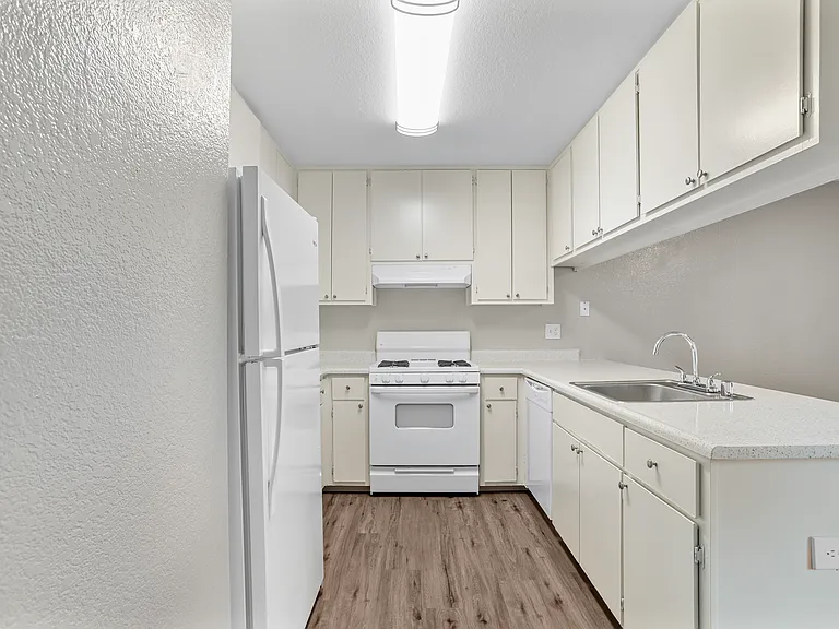 3310 Apartment Homes — Photo 145