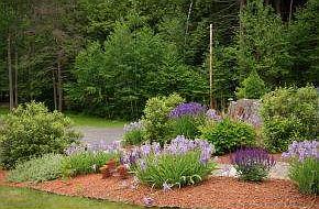 Beautiful Lanscaping